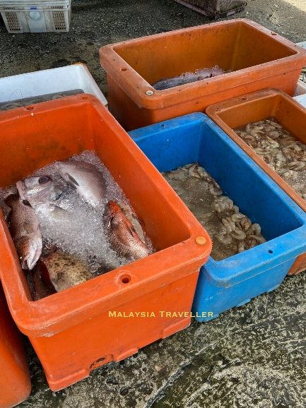 freshly caught seafood on sale