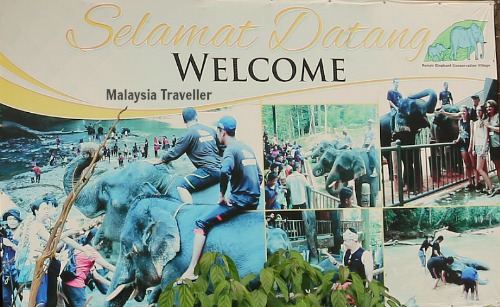 Kenyir Elephant Conservation Village Kuala Berang 2020 All You Need To Know Before You Go With Photos Tripadvisor