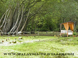 Taman Ikan Air Tawar