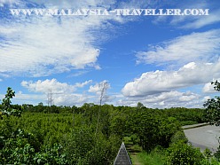 Kuala Selangor Nature Park