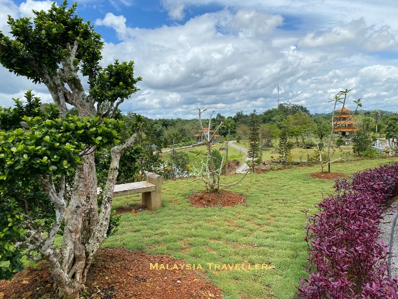 newly planted grass and pretty landscaping