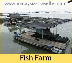 Fish Farm at Kukup