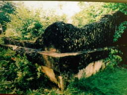 Remains of Labuan Government House