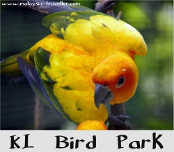 KL Bird Park
