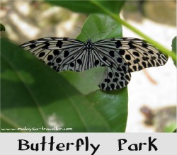 KL Butterfly Park