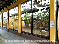 Cages at Langkawi Bird Paradise