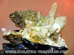 Langkawi Wildlife Park crystal