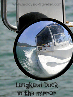 Self Portrait of a Duck Self Portrait of a Duck