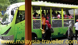 Free shuttle bus service