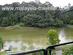 This flying fox did not seem to be operational during my visit.