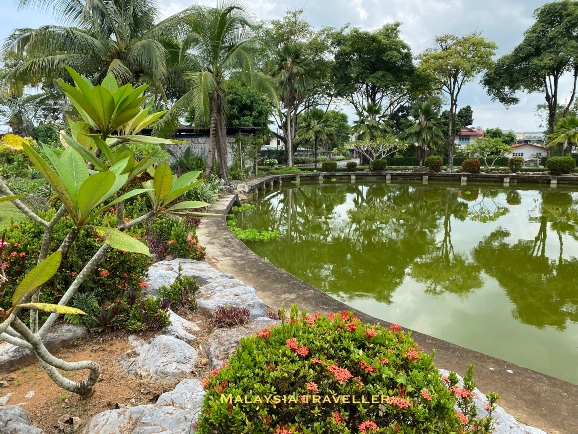 pond with trees reflected in the green water