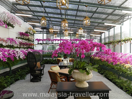 Orchid Conservatory at the Majestic Hotel Kuala Lumpur