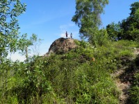 Malaysian National Parks Ayer Hitam Forest Reserve