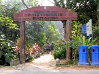 Malaysian National Parks Bukit Gasing