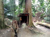 Malaysian National Parks Bukit Putih