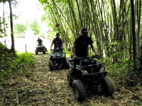Malaysian National Parks Commonwealth Forest Park