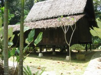 Malaysian National Parks FRIM