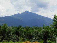 Malaysian National Parks Gunung Ledang