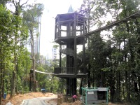 Malaysian National Parks KL Forest Eco Park