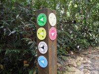 Malaysian National Parks Kota Damansara Community Forest Reserve