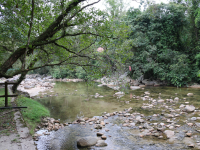 Kuala Woh Recreational Forest