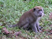 Malaysian National Parks Malaysia Agricultural Park