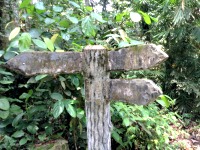 Malaysian National Parks Sungai Tua