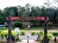 Sungai tua eco forest park
