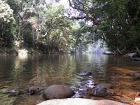Malaysian National Parks Taman Negara