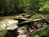 Malaysian National Parks Templer Park