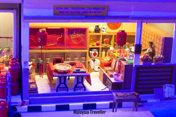 Model of traditional chinese medicine shop