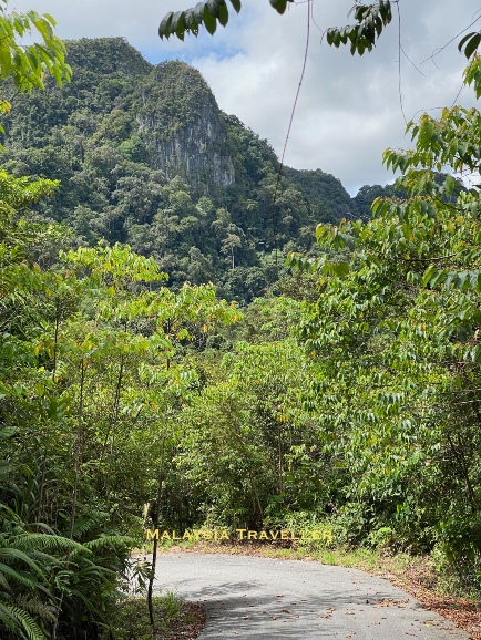 limestone karst tower and jungle limestone karst tower and jungle
