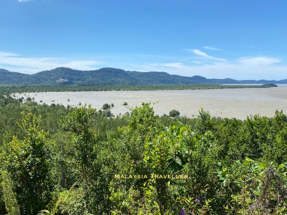 View of mangrove mudflats