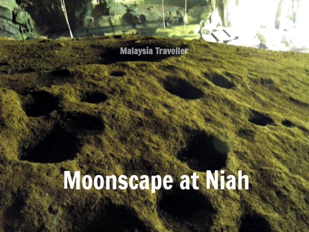 Niah Caves bat and bird guano