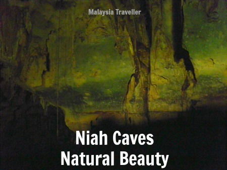 Niah Caves stalagmites