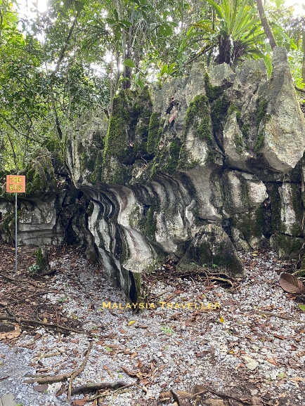 boulder resembling a T-Rex