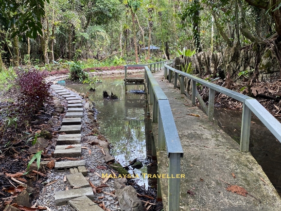 a bridge over a pond and tropical foliage
