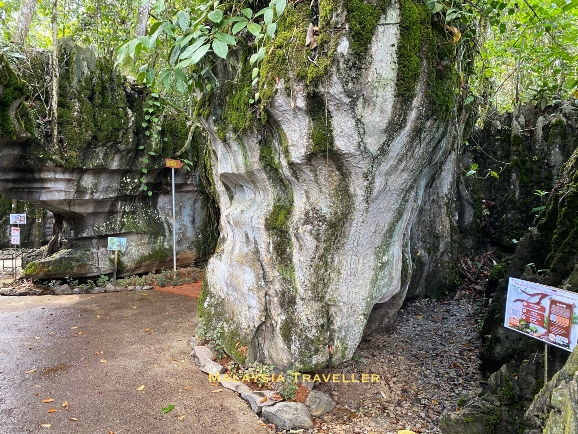 tall boulders overgrown with vegetation
