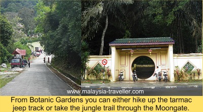 Where to start your Penang Hill hike Where to start your Penang Hill hike