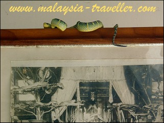 Penang Snake Temple Penang Snake Temple