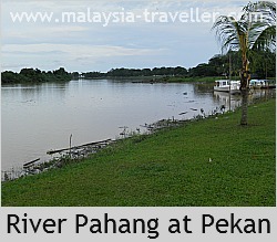 PenarikanPortagePekan