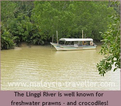 Linggi River at Pengkalan Kempas