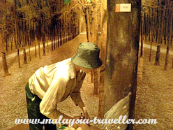 Diorama of a rubber plantation at Petaling Jaya Museum