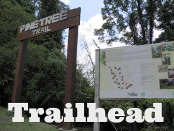 Pine Tree Hill Trail trailhead