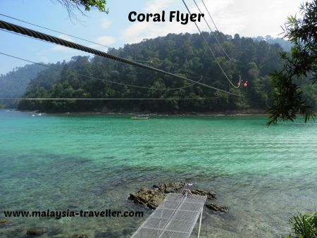 Coral Flyer zip line