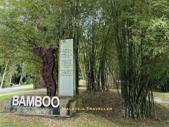 Bamboo sign next to clumps of bamboo