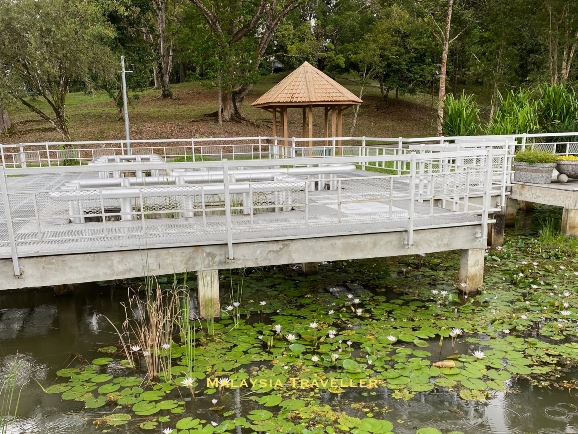 industrial style steel walkway above a lotus pond