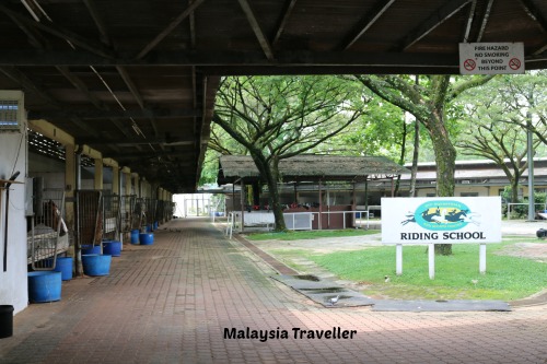 Selangor Turf Club Riding School Stc Equestrian Sports Centre
