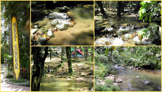 Sungai Congkak Recreational Forest Chongkak Park And Resort