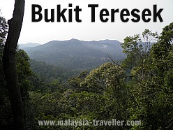 View from Bukit Teresek, Taman Negara View from Bukit Teresek, Taman Negara
